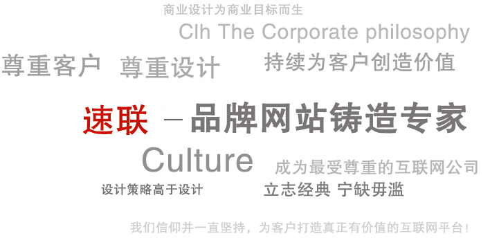 速联网络-青岛做网站